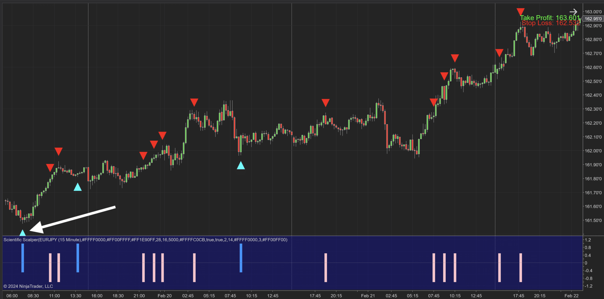 Scientific Scalper Indicator for NT8 - 11