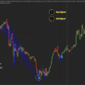 Easy Wolfe Wave - Duo Bundle