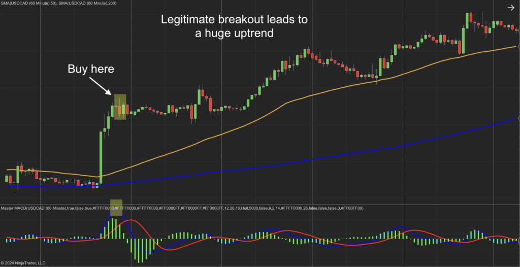 Master MACD NT8 Indicator - Craft Indicators
