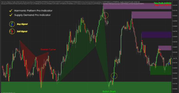 Harmonic Pattern Pro - Duo Bundle for NinjaTrader