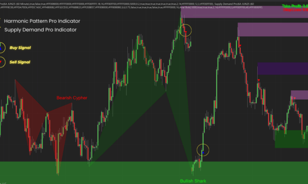 Harmonic Pattern Pro - Duo Bundle for NinjaTrader