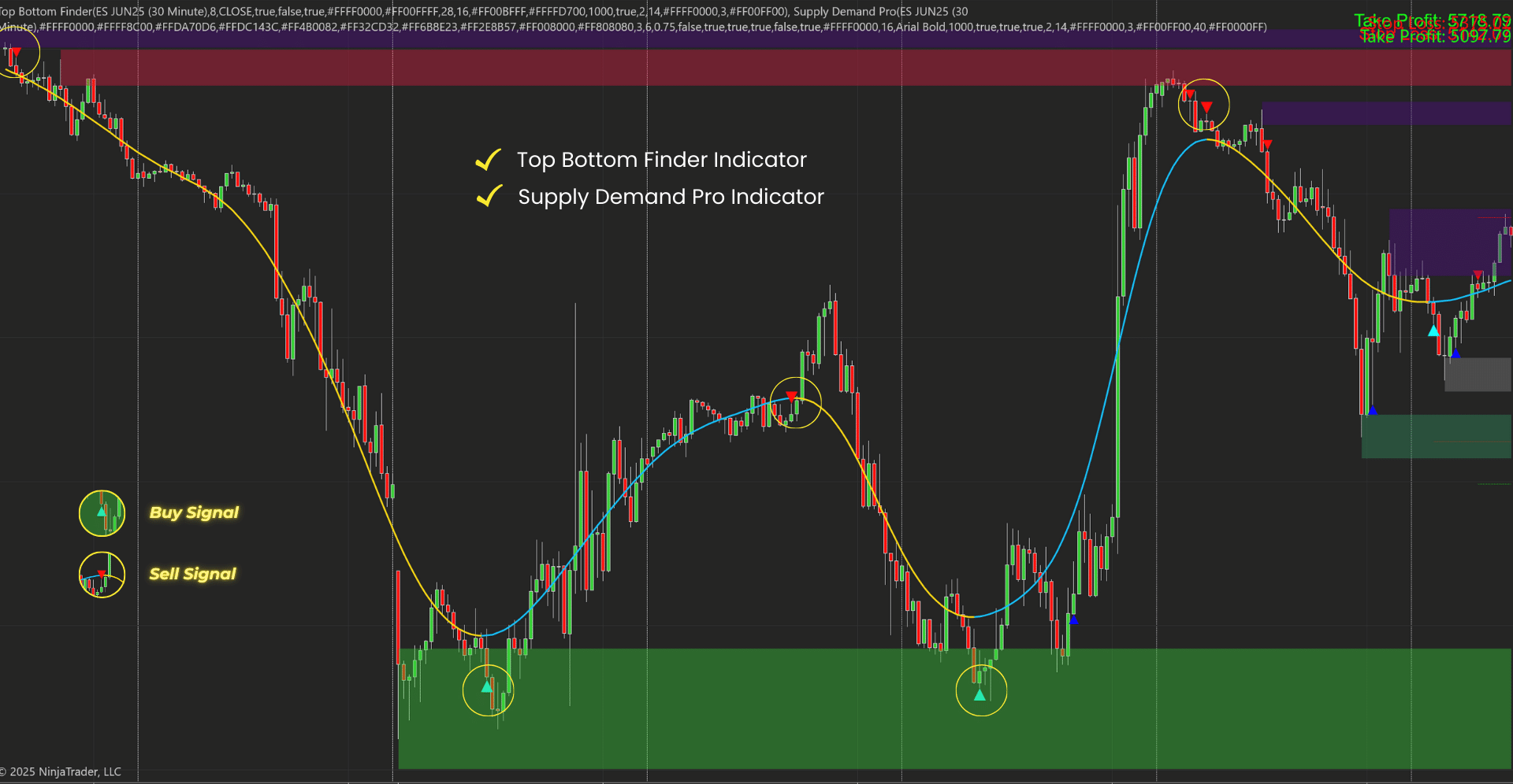 Top Bottom Finder Duo Bundle for NinjaTrader