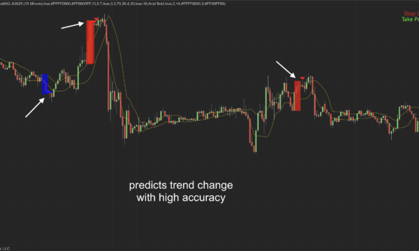 Top Bottom Reversal Indicator for Ninjatrader 8