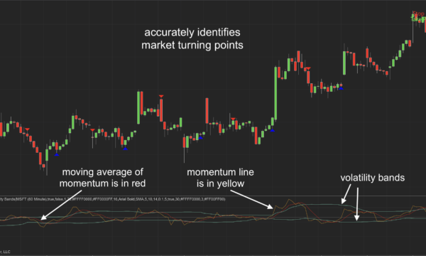 Momentous Volatility Bands Indicator for NT8
