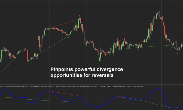 Natural Divergence Indicator for NinjaTrader 8