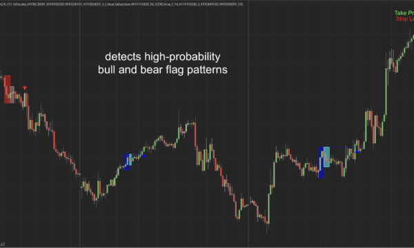 Bull Bear Flag for NT8