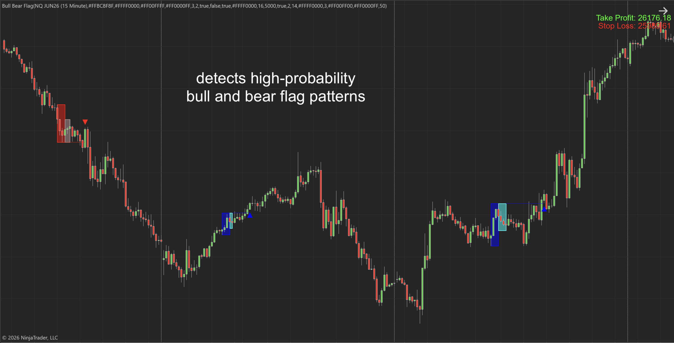 Bull Bear Flag NT8 Indicator