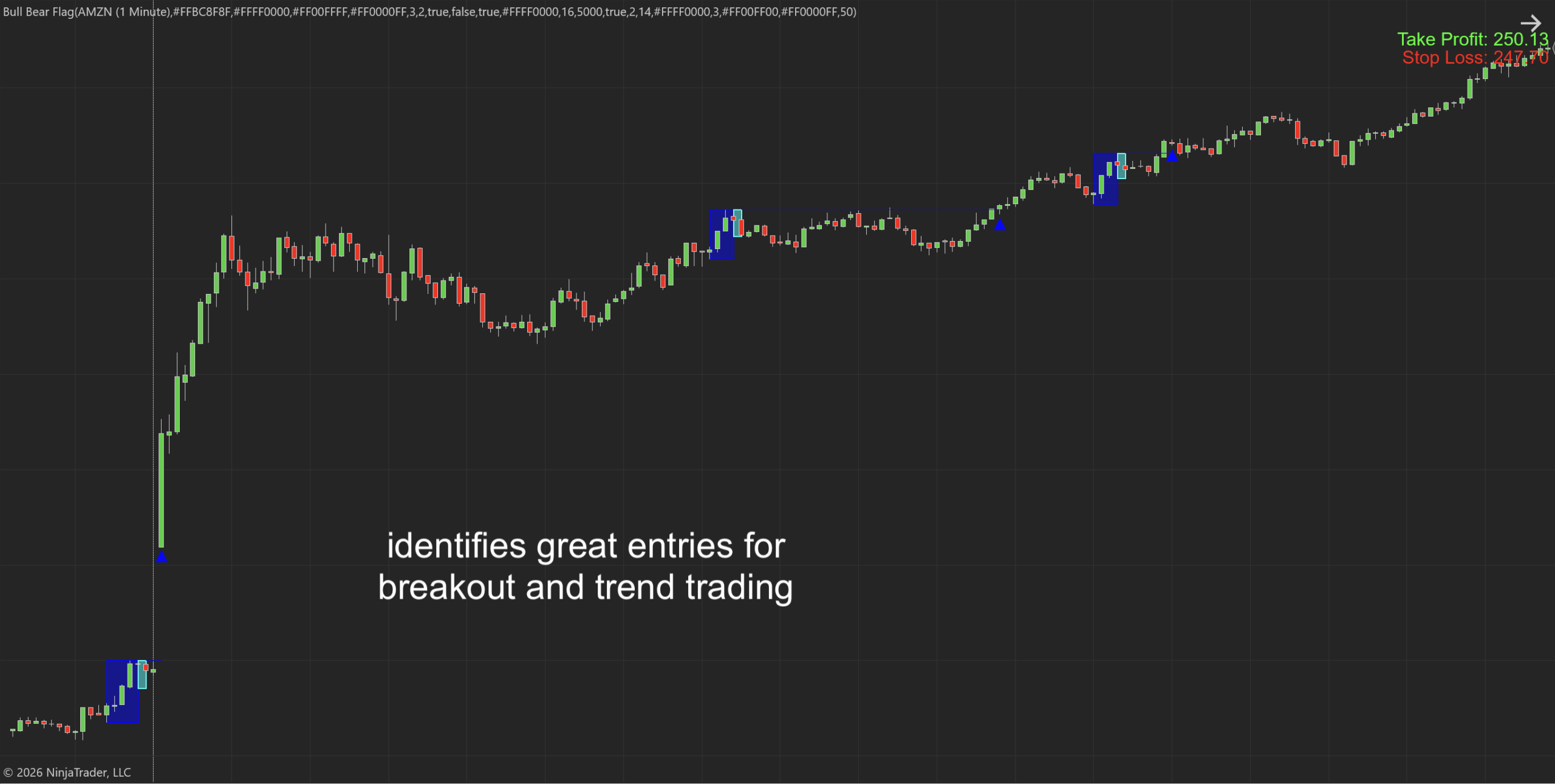 Bull Bear Flag NT8 Indicator