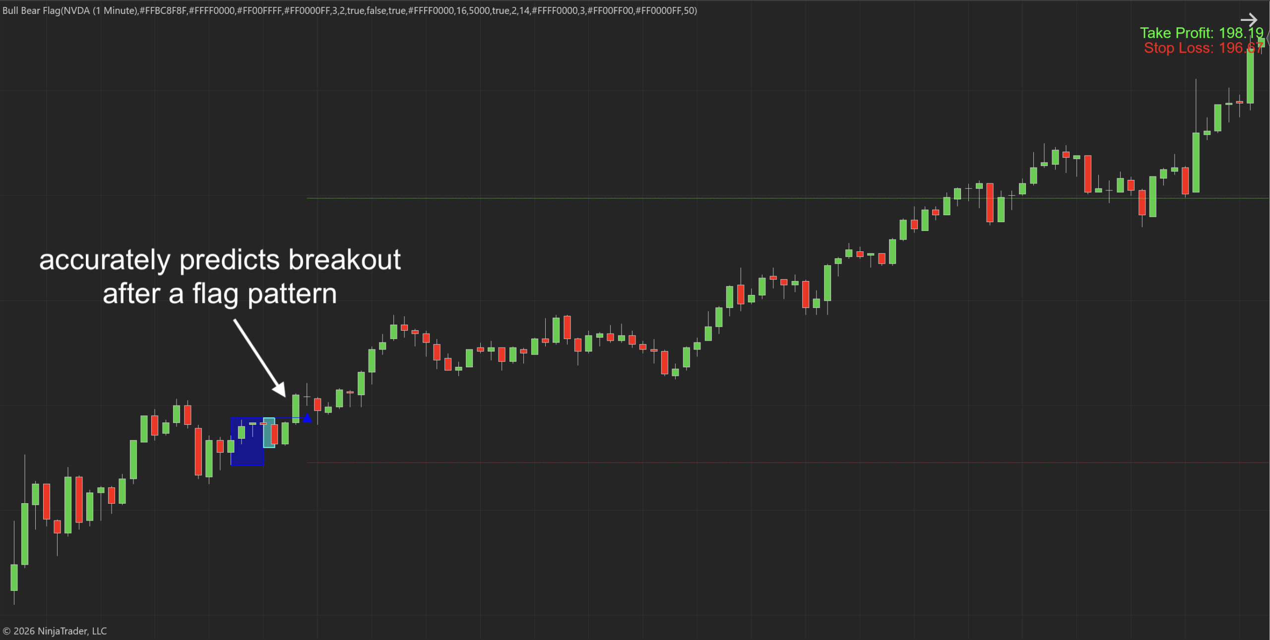 Bull Bear Flag NT8 Indicator
