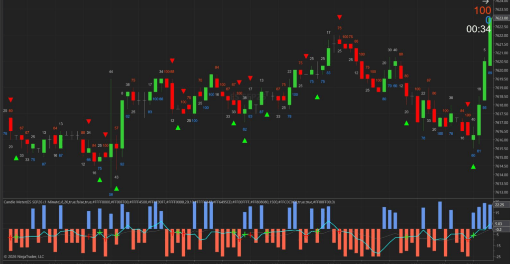 How to Use Candle Strength to Spot Trend Continuations, Pullbacks, and Reversals Candle Meter for NT8 Indicator
