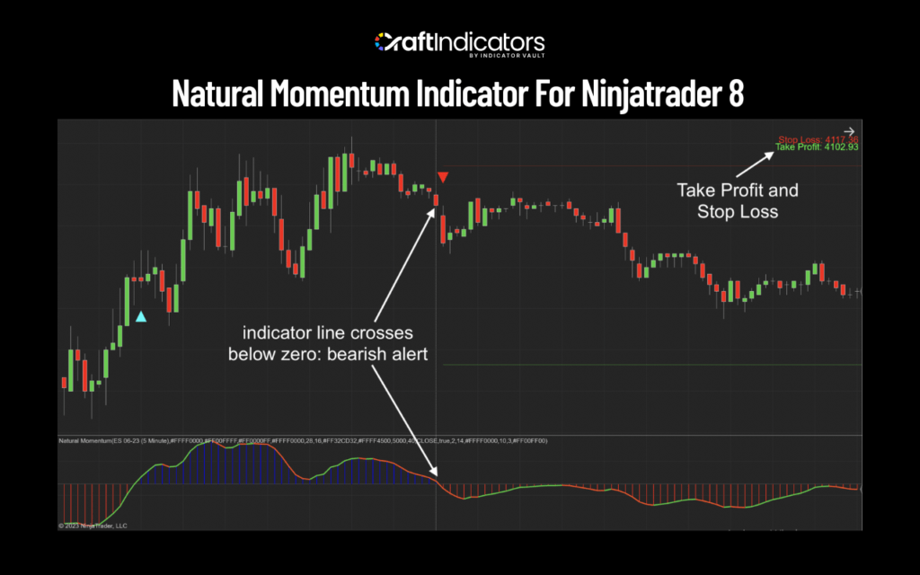 Risk Management Techniques: A Complete Guide for Traders in 2026 Trade Filtering Techniques with Natural Momentum Indicator NT8