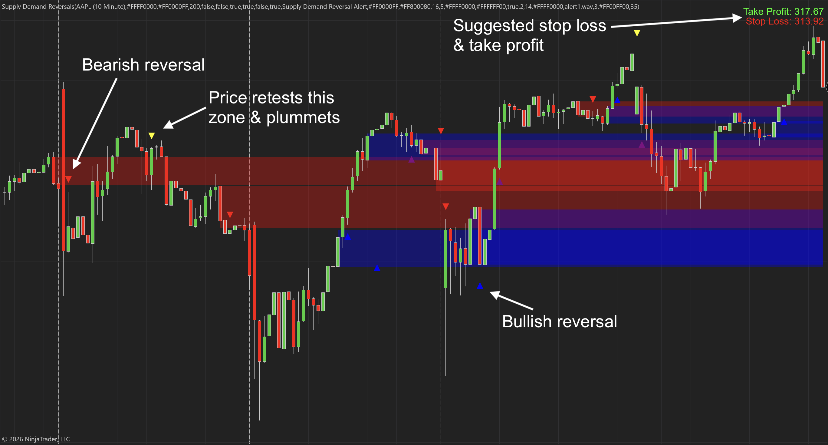 Supply Demand Reversals NT8 Indicator