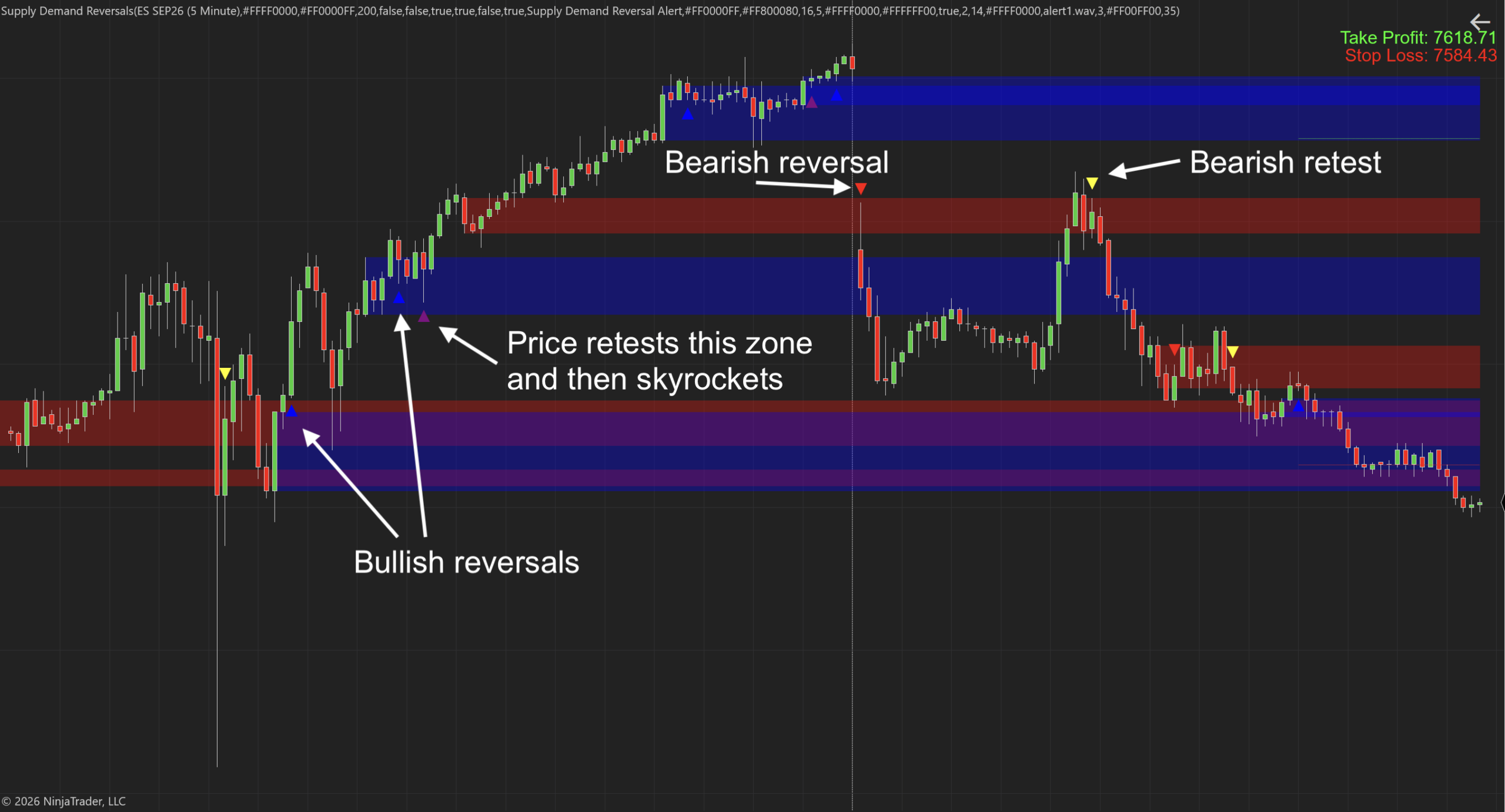 Supply Demand Reversals NT8 Indicator