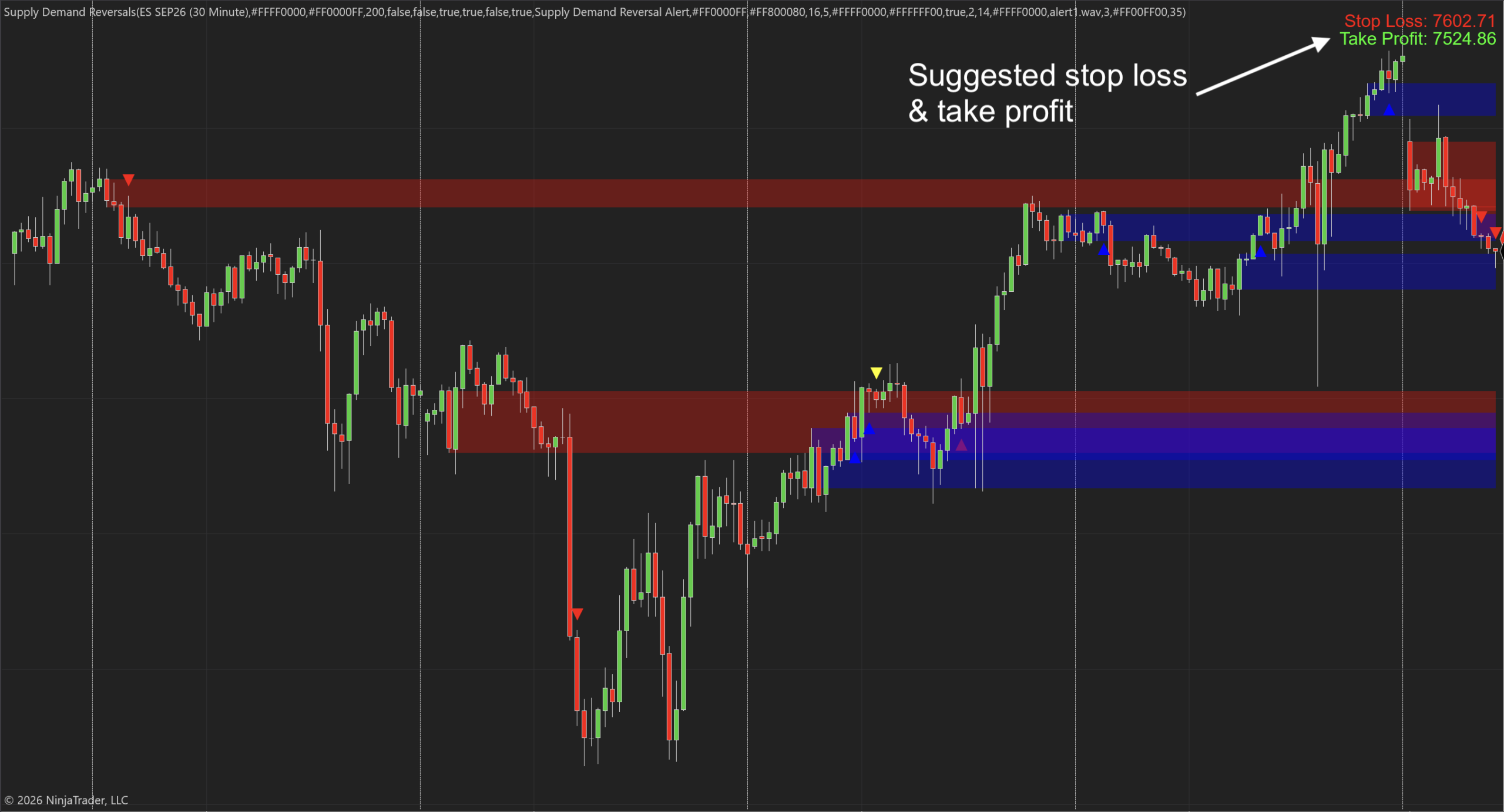 Supply Demand Reversals NT8 Indicator