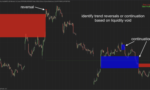 Smart Liquidity Void Indicator for NinjaTrader